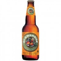 biere st ambroise abricot